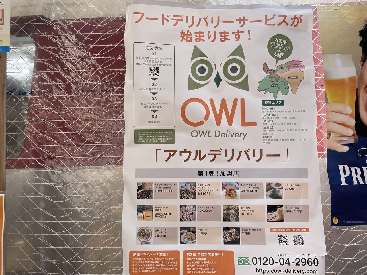 owl